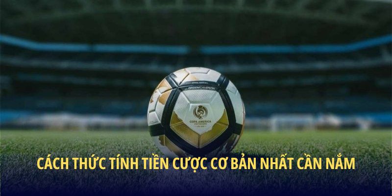 Cách thức tính tiền cược cơ bản nhất cần nắm